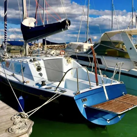 Barca A Vela Blue Marlin Rosignano Solvay